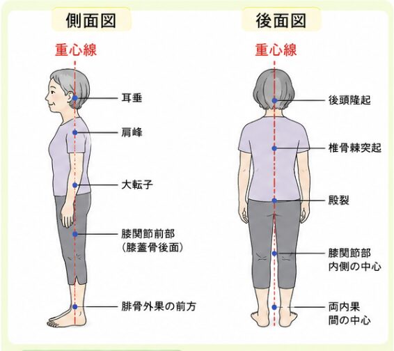 姿勢チェック方法