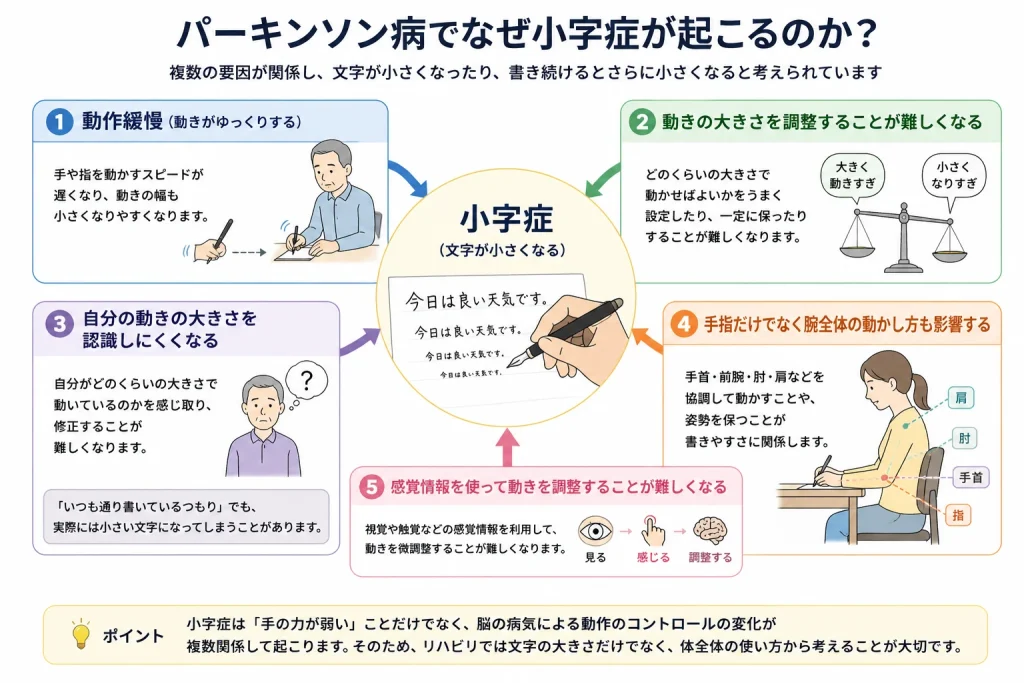 パーキンソン病でなぜ小字症が起こるのか