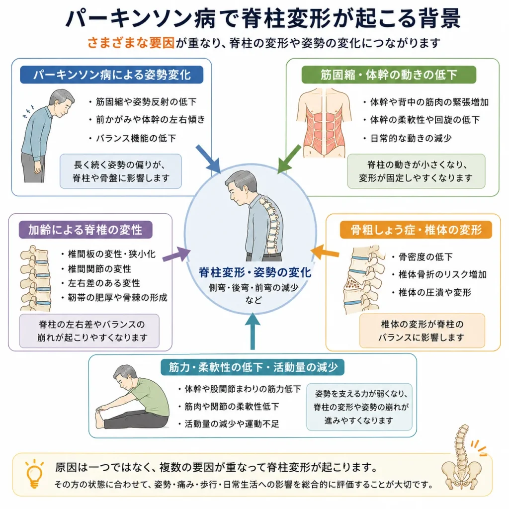 パーキンソン病で脊椎変形が起こる背景